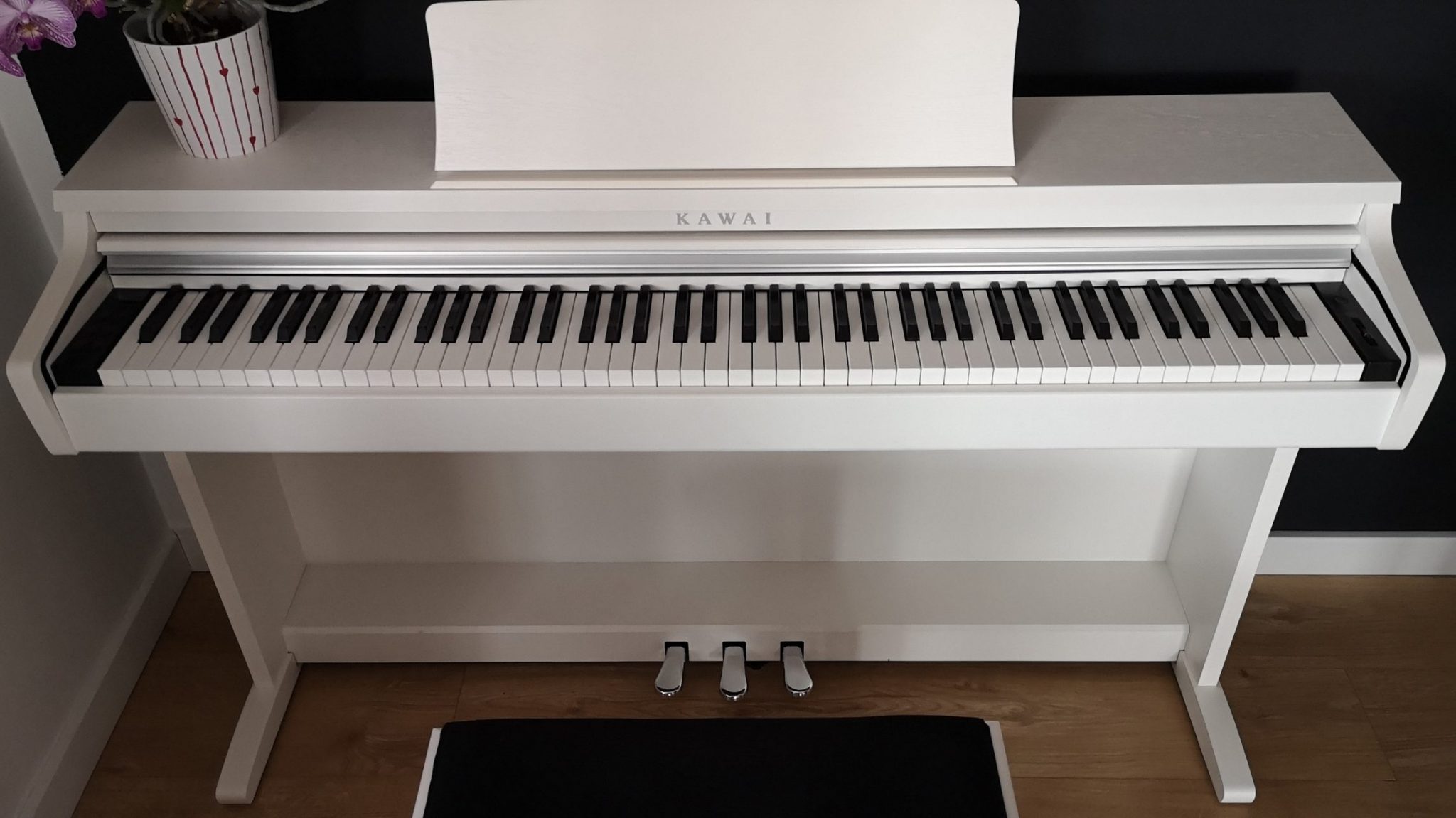 How to choose a keyboard instrument all types overview